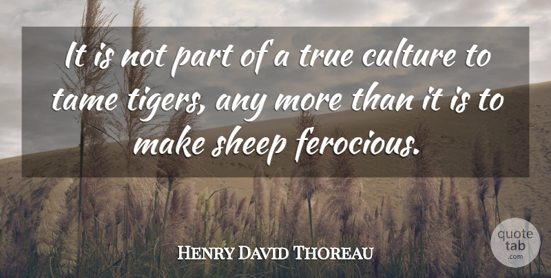 Henry David Thoreau Quote About Sheep, Literature, Culture: It Is Not Part Of...