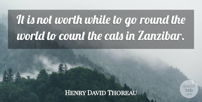Henry David Thoreau Quote About Work, Cat, Zanzibar: It Is Not Worth While...