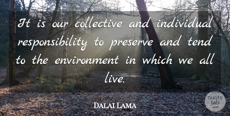 Dalai Lama Quote About Inspirational, Responsibility, Environmental: It Is Our Collective And...