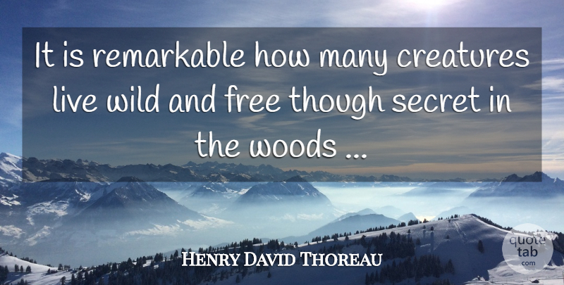 Henry David Thoreau Quote About Secret, Wild And Free, Woods: It Is Remarkable How Many...