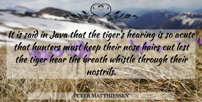 Peter Matthiessen Quote About Cutting, Hair, Listening: It Is Said In Java...
