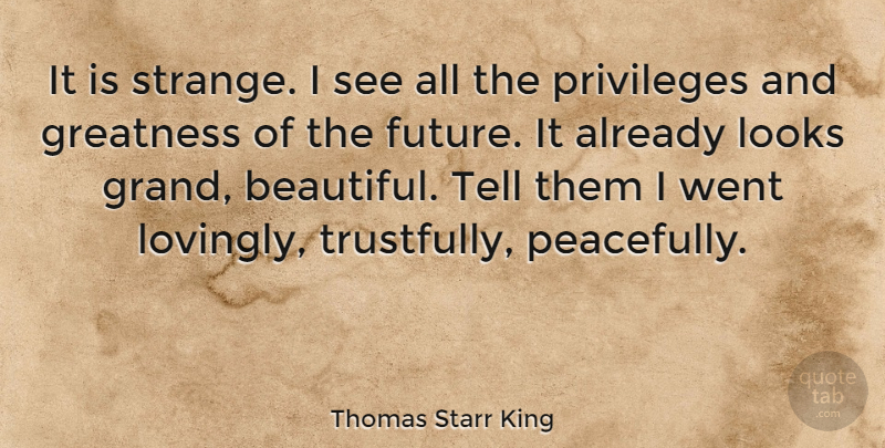 Thomas Starr King Quote About Beautiful, Greatness, Privilege: It Is Strange I See...