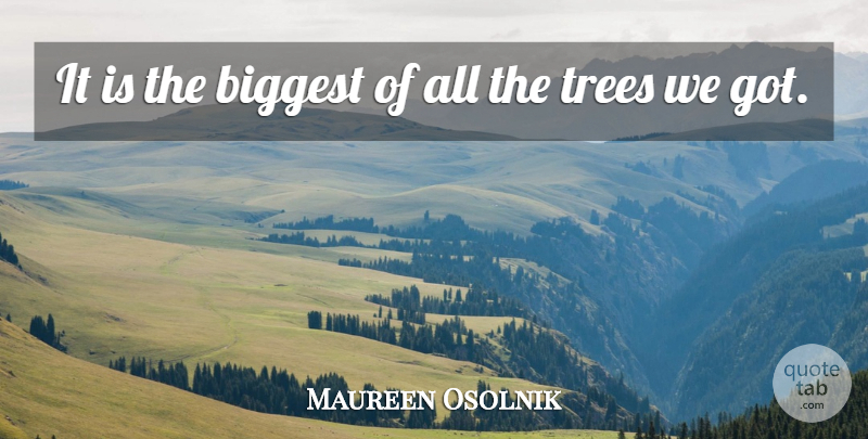Maureen Osolnik Quote About Biggest, Trees: It Is The Biggest Of...