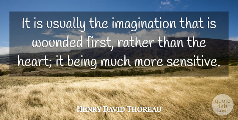Henry David Thoreau Quote About Anger, Heart, Imagination: It Is Usually The Imagination...