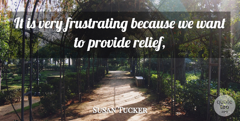 Susan Tucker Quote About Provide: It Is Very Frustrating Because...