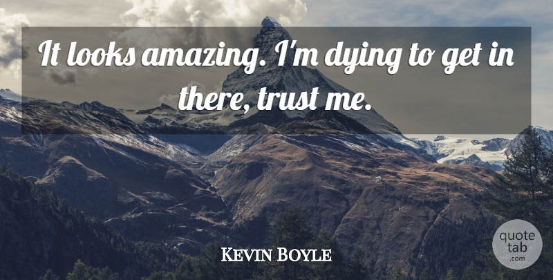 Kevin Boyle Quote About Dying, Looks, Trust: It Looks Amazing Im Dying...