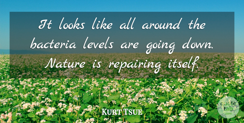 Kurt Tsue Quote About Bacteria, Levels, Looks, Nature: It Looks Like All Around...