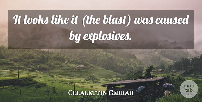 Celalettin Cerrah Quote About Caused, Looks: It Looks Like It The...