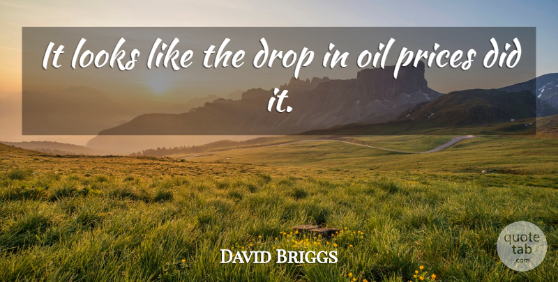 David Briggs Quote About Drop, Looks, Oil, Prices: It Looks Like The Drop...