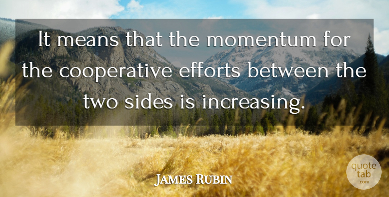 James Rubin Quote About Efforts, Means, Momentum, Sides: It Means That The Momentum...