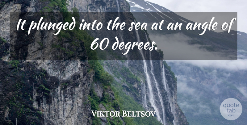 Viktor Beltsov Quote About Angle, Sea: It Plunged Into The Sea...