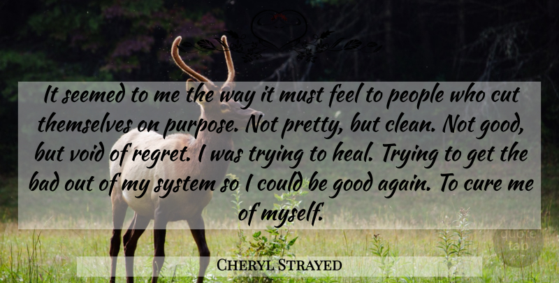 Cheryl Strayed Quote About Inspirational, Regret, Life Changing: It Seemed To Me The...