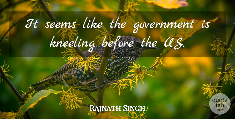 Rajnath Singh Quote About Government, Seems: It Seems Like The Government...