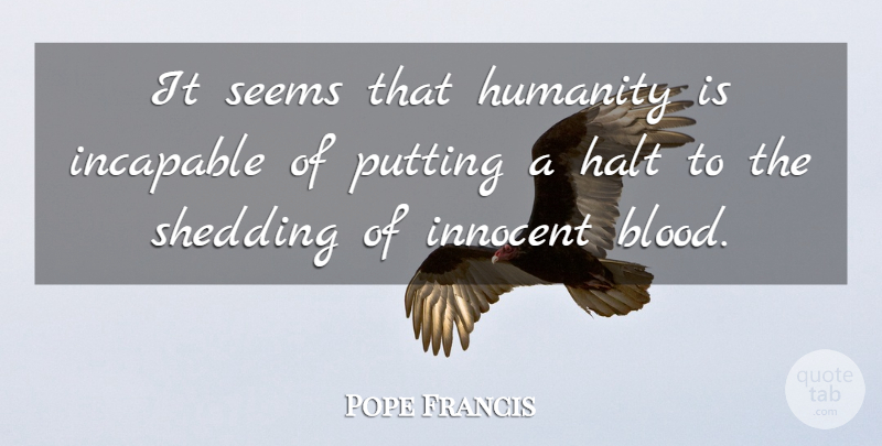Pope Francis Quote About Blood, Humanity, Innocent: It Seems That Humanity Is...