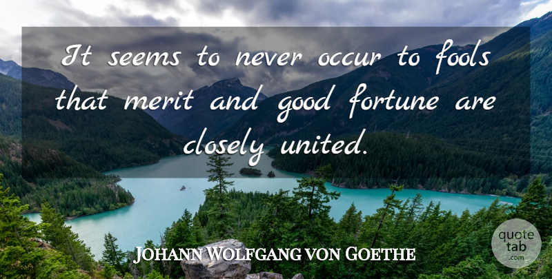 Johann Wolfgang von Goethe Quote About Literature, Fool, Merit: It Seems To Never Occur...