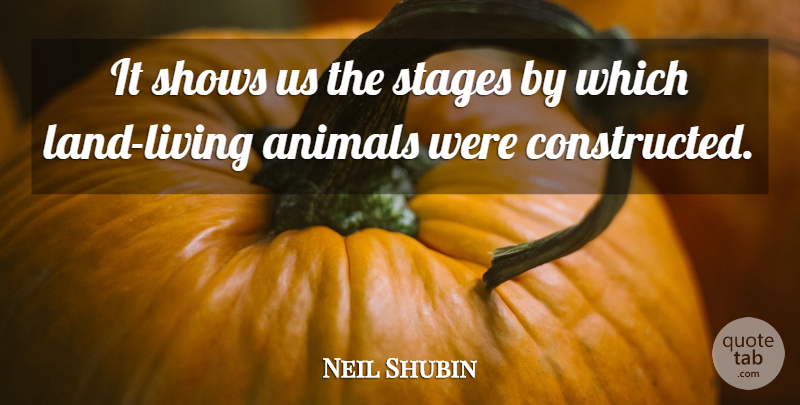Neil Shubin Quote About Animals, Shows, Stages: It Shows Us The Stages...