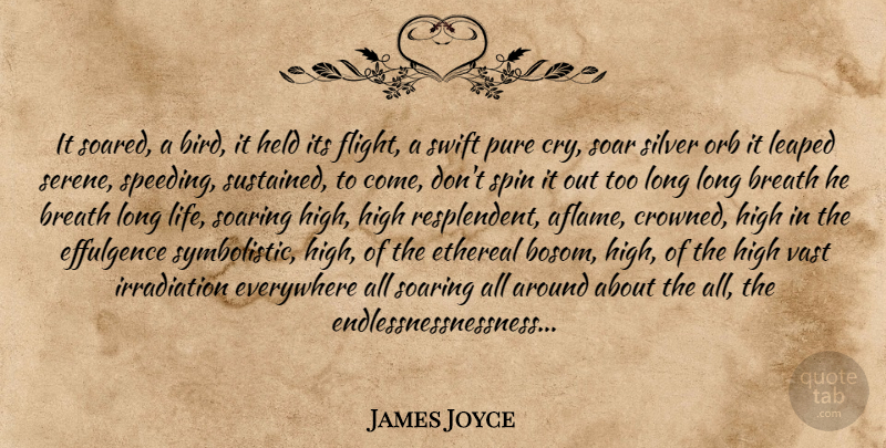 James Joyce Quote About Long, Bird, Orbs: It Soared A Bird It...