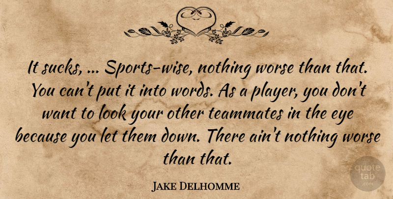 Jake Delhomme Quote About Eye, Teammates, Worse: It Sucks Sports Wise Nothing...
