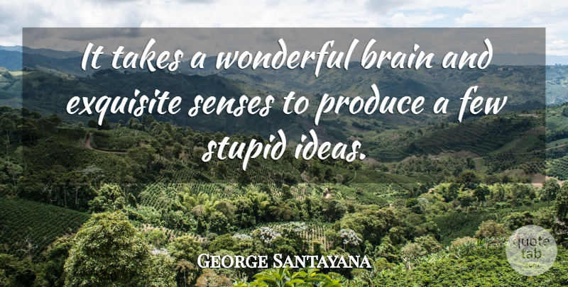 George Santayana Quote About Stupid, Ideas, Brain: It Takes A Wonderful Brain...