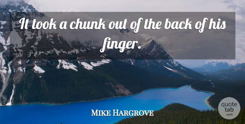Mike Hargrove Quote About Chunk, Took: It Took A Chunk Out...