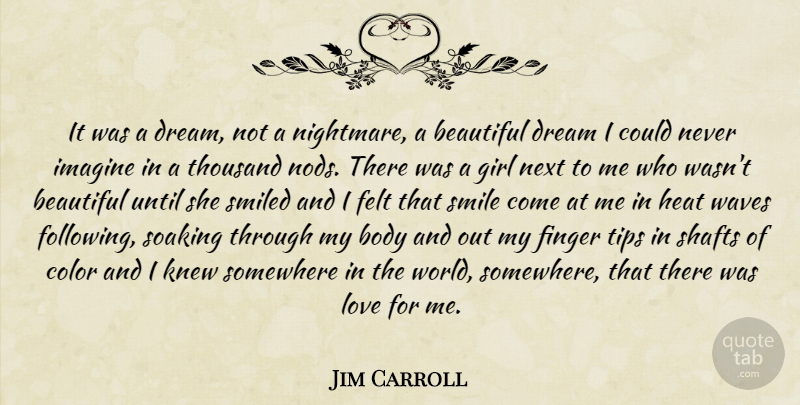 Jim Carroll Quote About Beautiful, Girl, Dream: It Was A Dream Not...