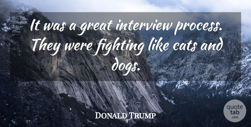 Donald Trump Quote About Cats, Fighting, Great, Interview: It Was A Great Interview...