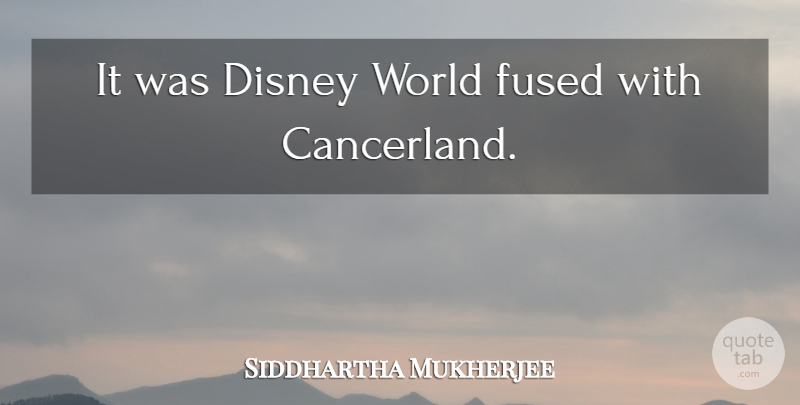 Siddhartha Mukherjee Quote About Cancer, World: It Was Disney World Fused...