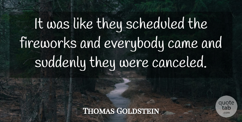 Thomas Goldstein Quote About Came, Everybody, Fireworks, Suddenly: It Was Like They Scheduled...