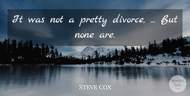 Steve Cox Quote About Divorce, None: It Was Not A Pretty...