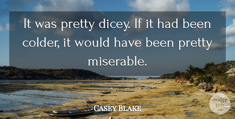 Casey Blake Quote About undefined: It Was Pretty Dicey If...