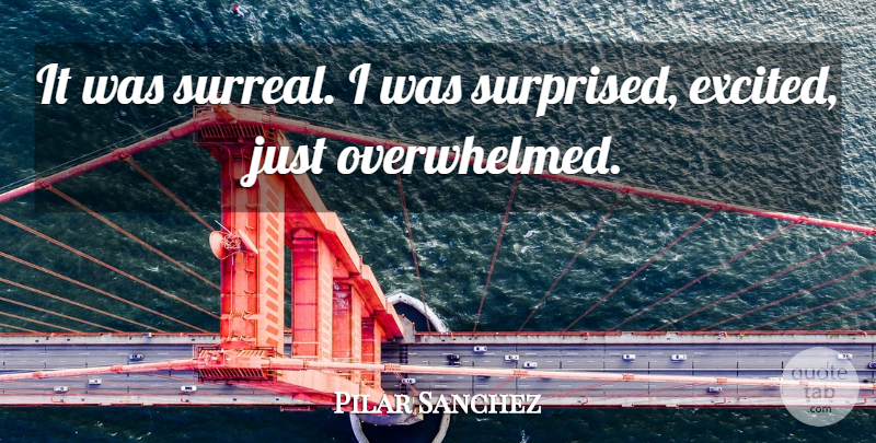 Pilar Sanchez Quote About undefined: It Was Surreal I Was...