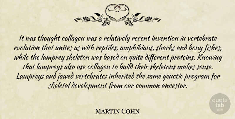 Martin Cohn Quote About Based, Build, Collagen, Common, Evolution: It Was Thought Collagen Was...