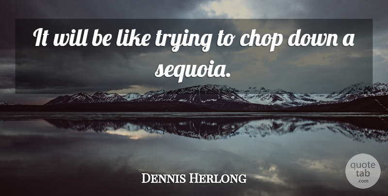 Dennis Herlong Quote About Chop, Trying: It Will Be Like Trying...