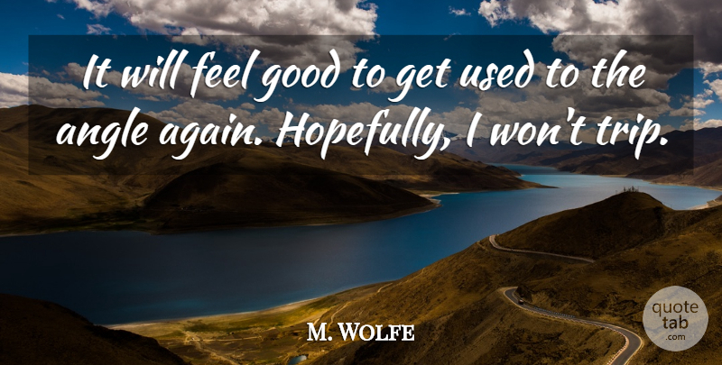 M. Wolfe Quote About Angle, Good: It Will Feel Good To...