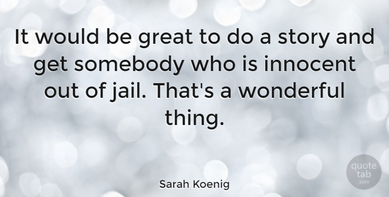 Sarah Koenig Quote About Great, Somebody, Wonderful: It Would Be Great To...
