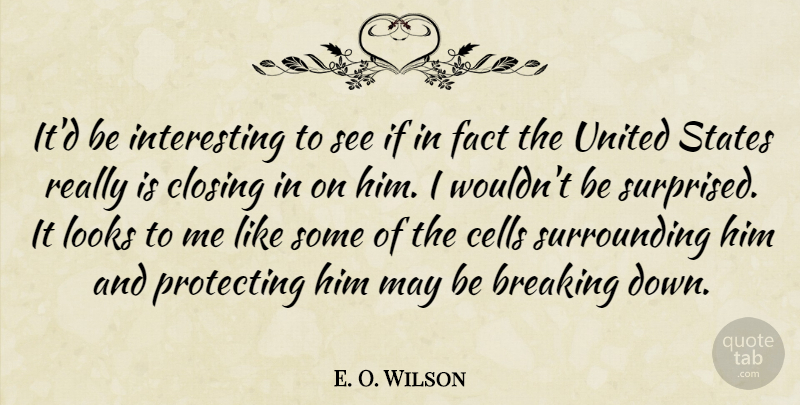 E. O. Wilson Quote About Breaking, Cells, Closing, Fact, Looks: Itd Be Interesting To See...