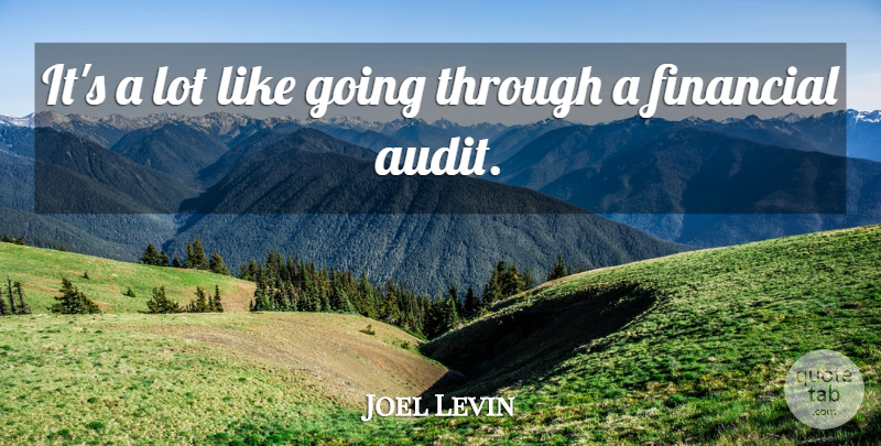 Joel Levin Quote About Financial: Its A Lot Like Going...