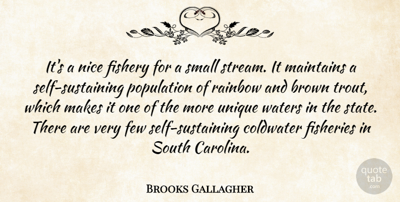Brooks Gallagher Quote About Brown, Few, Nice, Population, Rainbow: Its A Nice Fishery For...