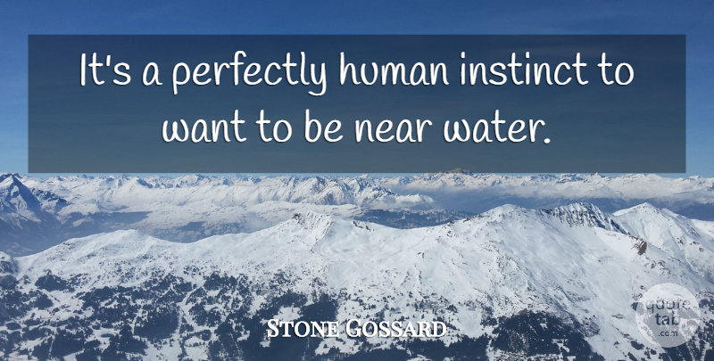 Stone Gossard Quote About Water, Want, Instinct: Its A Perfectly Human Instinct...