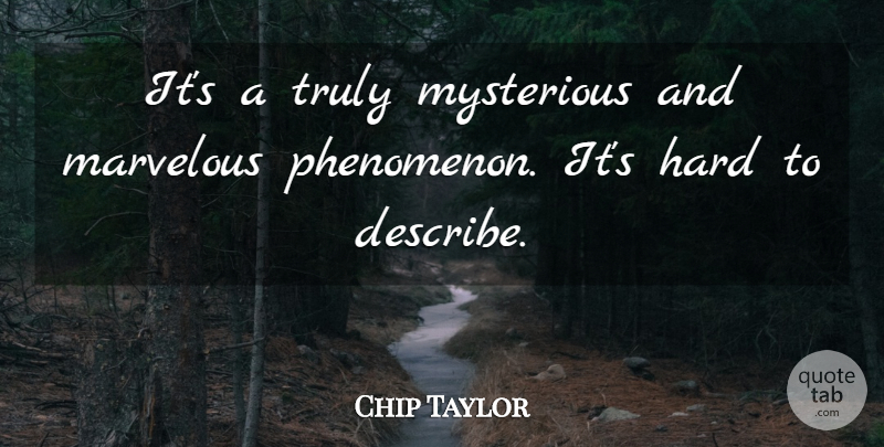 Chip Taylor Quote About Hard, Marvelous, Mysterious, Truly: Its A Truly Mysterious And...