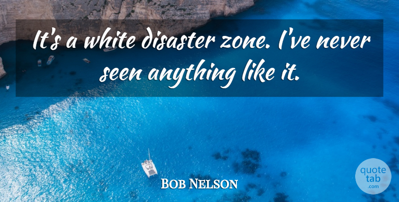 Bob Nelson Quote About Disaster, Seen, White: Its A White Disaster Zone...