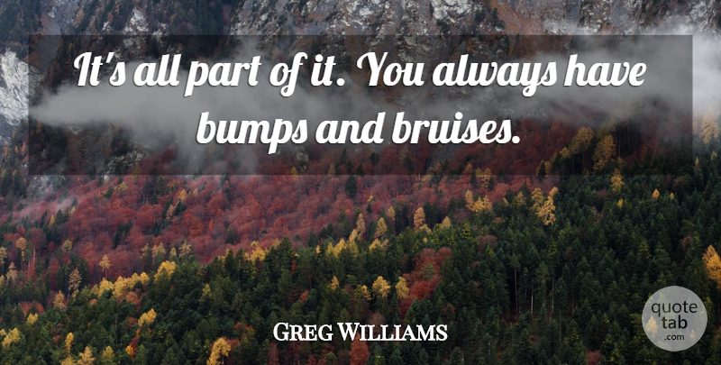 Greg Williams Quote About Bumps: Its All Part Of It...