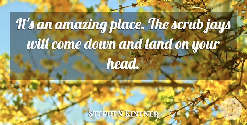 Stephen Kintner Quote About Amazing, Land, Scrub: Its An Amazing Place The...