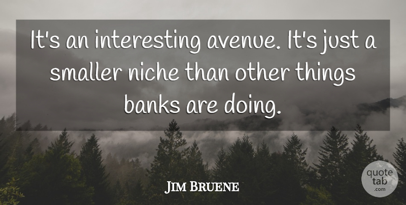 Jim Bruene Quote About Banks, Niche, Smaller: Its An Interesting Avenue Its...