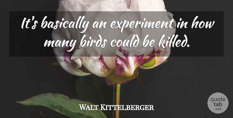 Walt Kittelberger Quote About Basically, Birds, Experiment: Its Basically An Experiment In...
