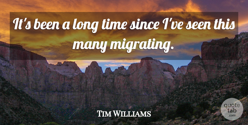 Tim Williams Quote About Seen, Since, Time: Its Been A Long Time...
