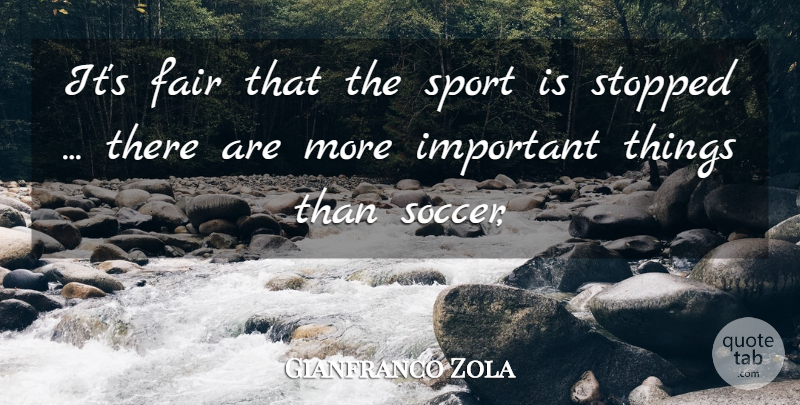 Gianfranco Zola Quote About Fair, Stopped: Its Fair That The Sport...
