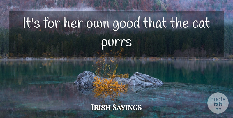 Irish Sayings Quote About Cat, Good: Its For Her Own Good...
