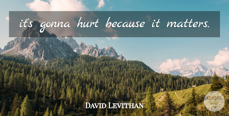 David Levithan Quote About Hurt, Hipster, Matter: Its Gonna Hurt Because It...