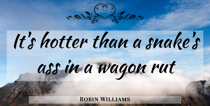 Robin Williams Quote About Inspiration, Snakes, Ruts: Its Hotter Than A Snakes...
